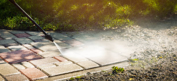 Best Driveway Cleaning and Restoration in Murray, KY